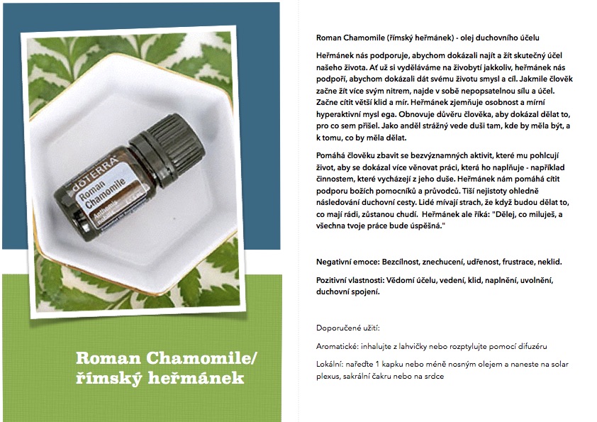 Roman_Chamomile